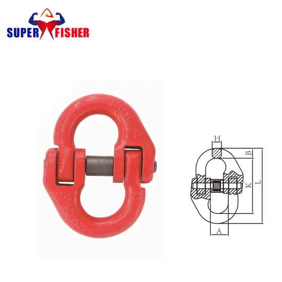 G80 Eye Sling Hook with Latch